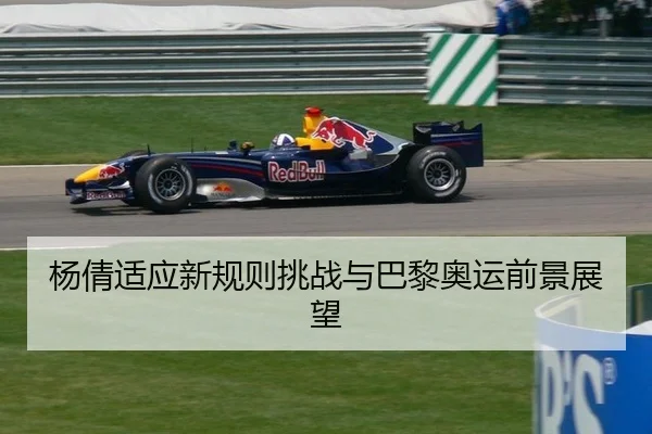 yang-qian-shi-ying-xin-gui-ze-tiao-zhan-yu-ba-li-ao-yun-qian-jing-zhan-wang-2-342.jpg