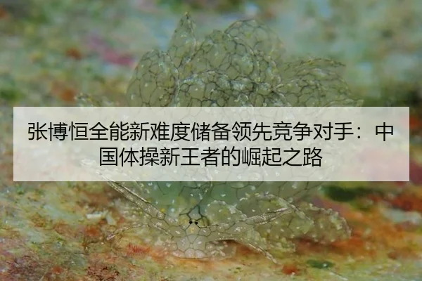 张博恒全能新难度储备领先竞争对手：中国体操新王者的崛起之路
