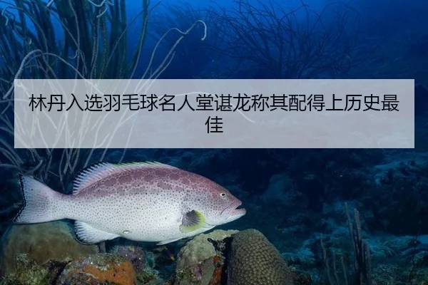 林丹入选羽毛球名人堂谌龙称其配得上历史最佳