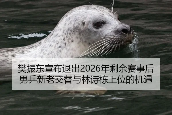 樊振东宣布退出2026年剩余赛事后男乒新老交替与林诗栋上位的机遇